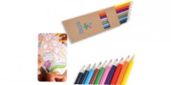 Coloured Full Length Colouring Pencils PK10 - LL1907 