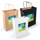 Express Paper Bag Large LL549